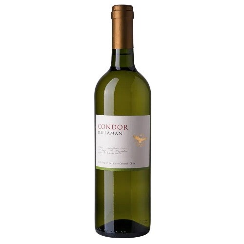 Vinho Branco Chileno Condor Sauvignon Blanc 750ml