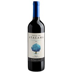 Vinho Tinto Chileno Valle De Atacama Merlot 750ml