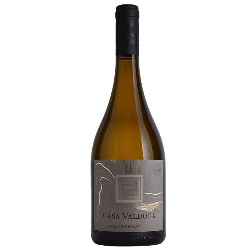 Vinho Branco Nacional Casa Valduga Terroir Chardonay 750ml