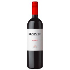 Vinho Tinto Argentino Nieto Senetiner Benjamin Malbec 750ml