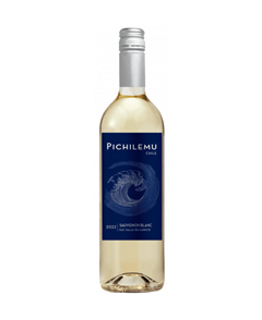 Vinho Branco Chileno Pichilemu Sauvignon Blanc 750ml