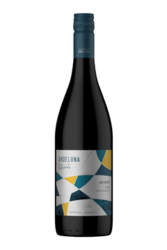 Vinho Argentino Tinto Andeluna Piedemonte 750ml 