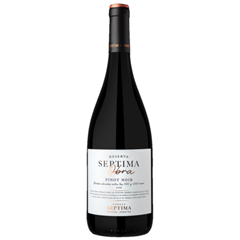 Vinho Tinto Argentino Septima Obra Reserva Pinot Noir 750ml