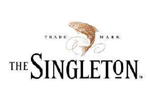 the singleton 